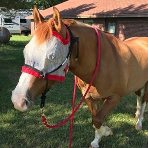 Meet your Posher, Ava